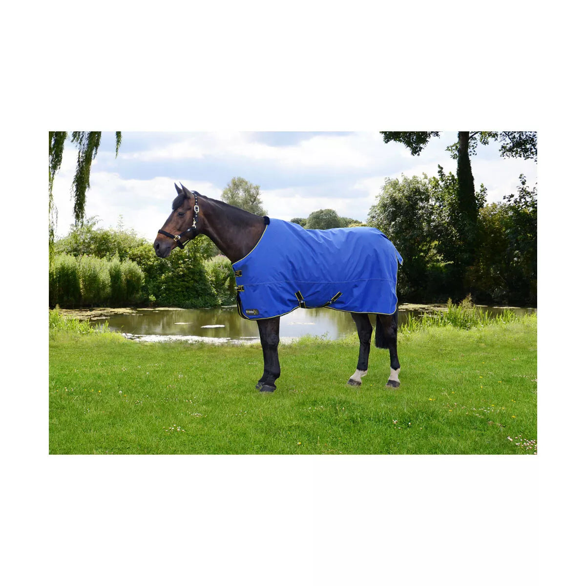 Hy Equestrian StormX  Original 100 Turnout Rug